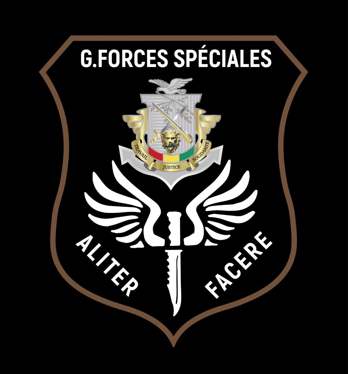 Emblème GFS